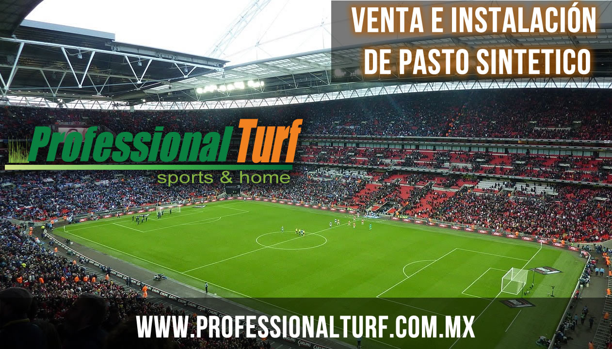 professiona turf